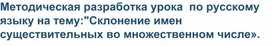 Методическая разработка урока  по русскому языку на тему:"Склонение имен существительных во множественном числе».