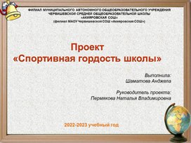 Обложка для материала Проект «Спортивная гордость школы»