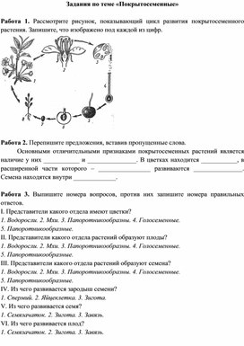 Для урока. Покрытосеменные.