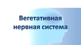 Обложка для материала Презентация по биологии на тему: "Вегетативная нервная система"
