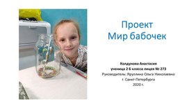 Проект Мир бабочек