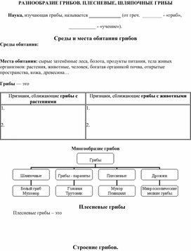 Грибы практическая работа