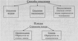 Материал к урокам  биологии