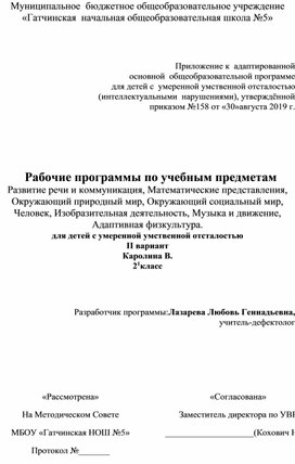 Рабочие программы по учебным предметам начальной школы 2 вариант