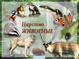 Обложка для материала Презентация к уроку биологии. 7 класс. Тема: " Зоология наука о животных""