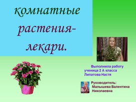 Обложка для материала Окружающий мир. Комнатные растения-лекари разных болезней, действие для профилактики".