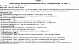 Конспект урока по окружающему миру в 3 классе "Пищевые цепочки"