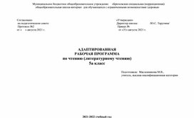 Адаптированная программа по чтению 5 класс