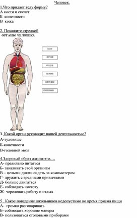 Контрольно – измерительный материал по природоведению, для обучающихся 5 класса,  коррекционной школы.