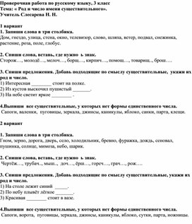 Проверочная работа по русскому языку "Род и число имени существительного", 3 класс