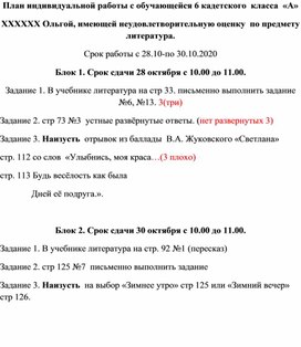 План индивидуальной работы с учащимися с овз