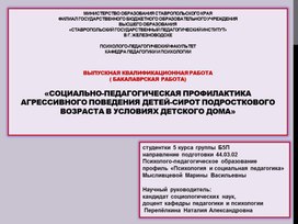 «Социально-педагогическая профилактика агрессивного поведения детей-сирот подросткового возраста в условиях детского дома»