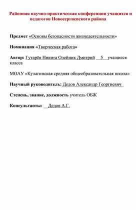 Сборник "Правила дорожного движения глазами пятиклассника"