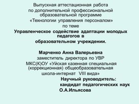 Обложка для материала Презентация Управленческое содействие адаптации молодых педагогов в образовательном учреждении.