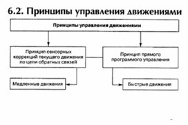 Обложка для материала материал по психофизиологии