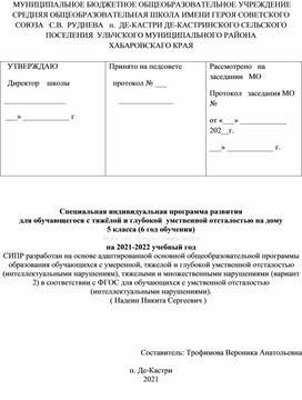 Специальная индивидуальная программа развития ученика с ТМНР