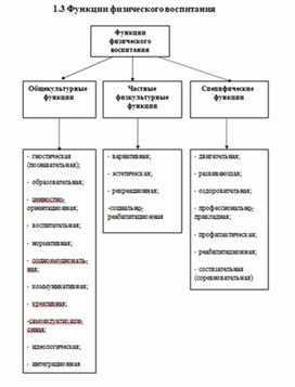 Обложка для материала теории и методики физического воспитания 36