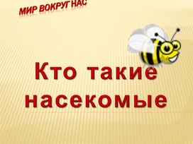 Презентация по окружающему миру на тему "Кто такие насекомые?"