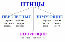 Обложка для материала Окружающий мир для начальных классов_схема_23