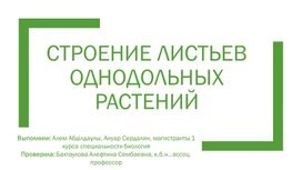 Гистологическое описание листьев однодольных