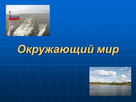 Презентация по окружающему миру "Природа Красноярского края"