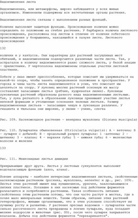 Обложка для материала Смена периодов роста