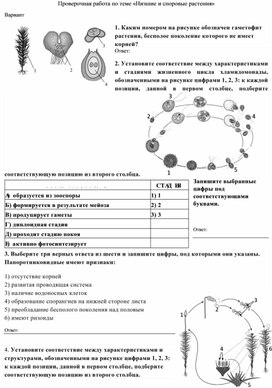 Проверочная работа по теме "Низшие и споровые растения"