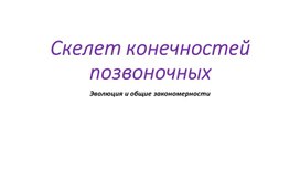 Пояс передних конечностей позвоночных