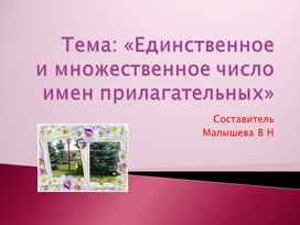 Презентация по русскому языку. Тема: " Единственное и множественное число имен прилагательных".