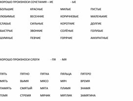 Обложка для материала Индивидуальное занятие "Хорошо произноси сочетание"