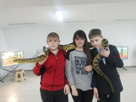 Обложка для материала Экскурсия в террариум «Эти забавные животные».