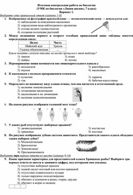 Обложка для материала промежуточная аттестация