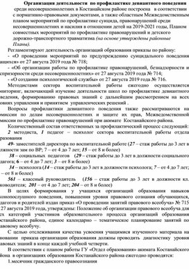 Организация деятельности  по профилактике девиантного поведения