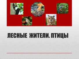 Презентация  к уроку окружающего мира " Птицы. Лесные жители"