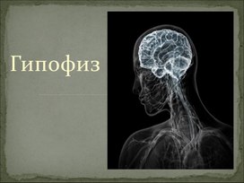 Конспект занятия по художественной литературе в средней группе «Чтение рассказа Сутеева «Три котенка»