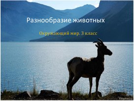 Презентация по окружающему миру по теме "Разнообразие животных".