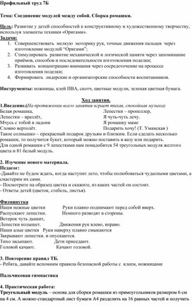 Обложка для материала Конспект урока по теме: "Соединение модулей между собой. Сборка ромашки."