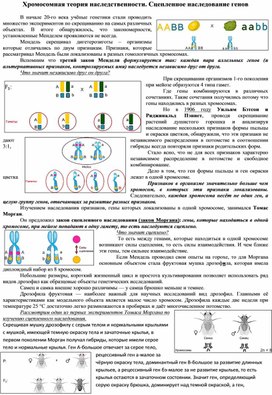 Хромосомная теория наследственности. Сцепленное наследование генов