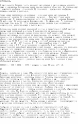 Обложка для материала Цитоплазма