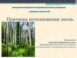 Презентация "Причины исчезновения лесов", 8 класс