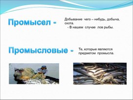 Обложка для материала Презентация по биологии на тему: "Значение рыб"