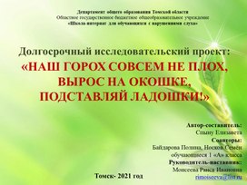 Долгосрочный исследовательский проект "Наш горох совсем не пло, вырос на окошке, подставляй ладошки" Автор Спыну Елизавета