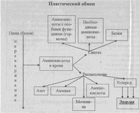 Обложка для материала материал к урокам  биологии