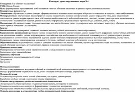 Конструкт урока по окружающему миру по формированию естественно-научной грамотности у обучающихся второго класса с ЗПР на тему "Где обитают насекомые"