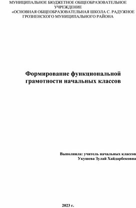 Статья на тему: «‎Формирование функциональной грамотности начальных классов»‎