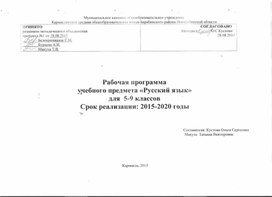 Рабочая программа по русскому языку  (5-9 кл)
