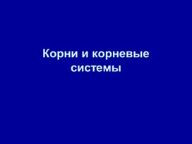 Обложка для материала Корневая система разработка для 5 класса