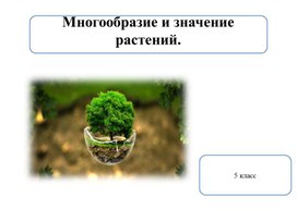 ПРЕЗЕНТАЦИЯ К УРОКУ БИОЛОГИИ 5 КЛАСС  ПО ТЕМЕ :Многообразие и значение растений