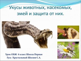 ОБЖ 6 класс презентация "Укусы насекомых, змей и животных. Первая помощь"