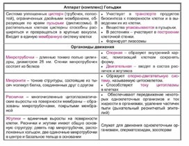Обложка для материала Биология в таблицах